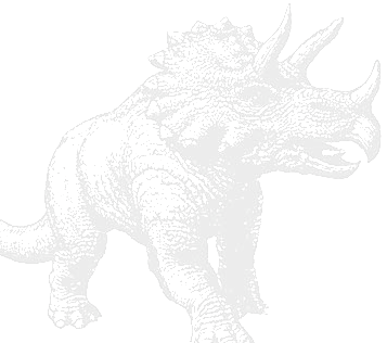 interim Koopa logo